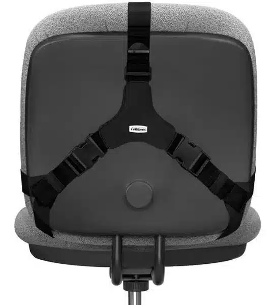 Fellows Professional Series Back Support - Image 3