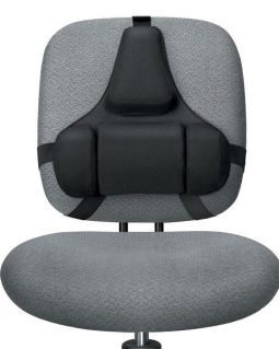 Alternative view of Fellows Professional Series Back Support